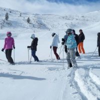 Groupe intermédiaire 5
