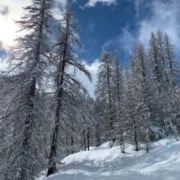pano 7